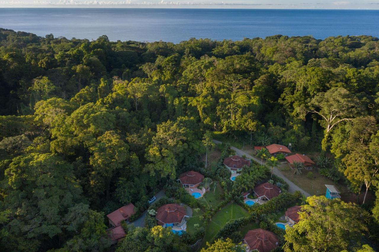 Lomas Del Caribe Villa Puerto Viejo de Talamanca Exterior photo